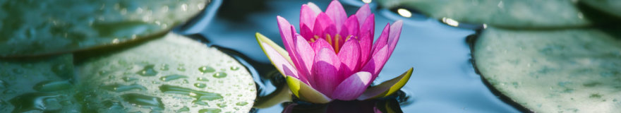 Email the Iron County Cancer Unit