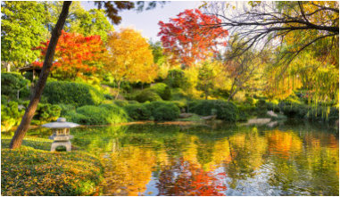 Telephone number for the Iron County Cancer Unit