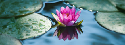 Contact the Iron County Cancer Unit