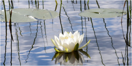 Iron County Cancer Unit, Cancer, Cancer Help, Cancer Assistance, in memory of cancer patient, in honor of cancer survivor, donation to cancer unit, Iron County, Michigan, Iron River, MI, Crystal Falls, Iron County Cancer Help